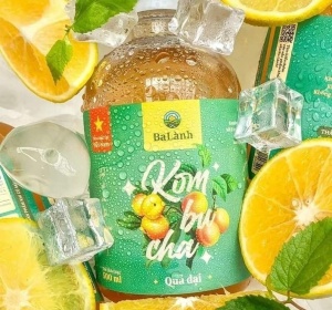 KOMBUCHA QUẢ DẠI 500ml