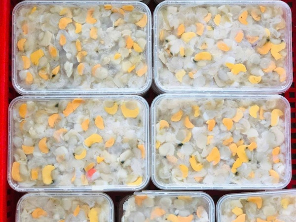 còi sò điệp biển-500gr